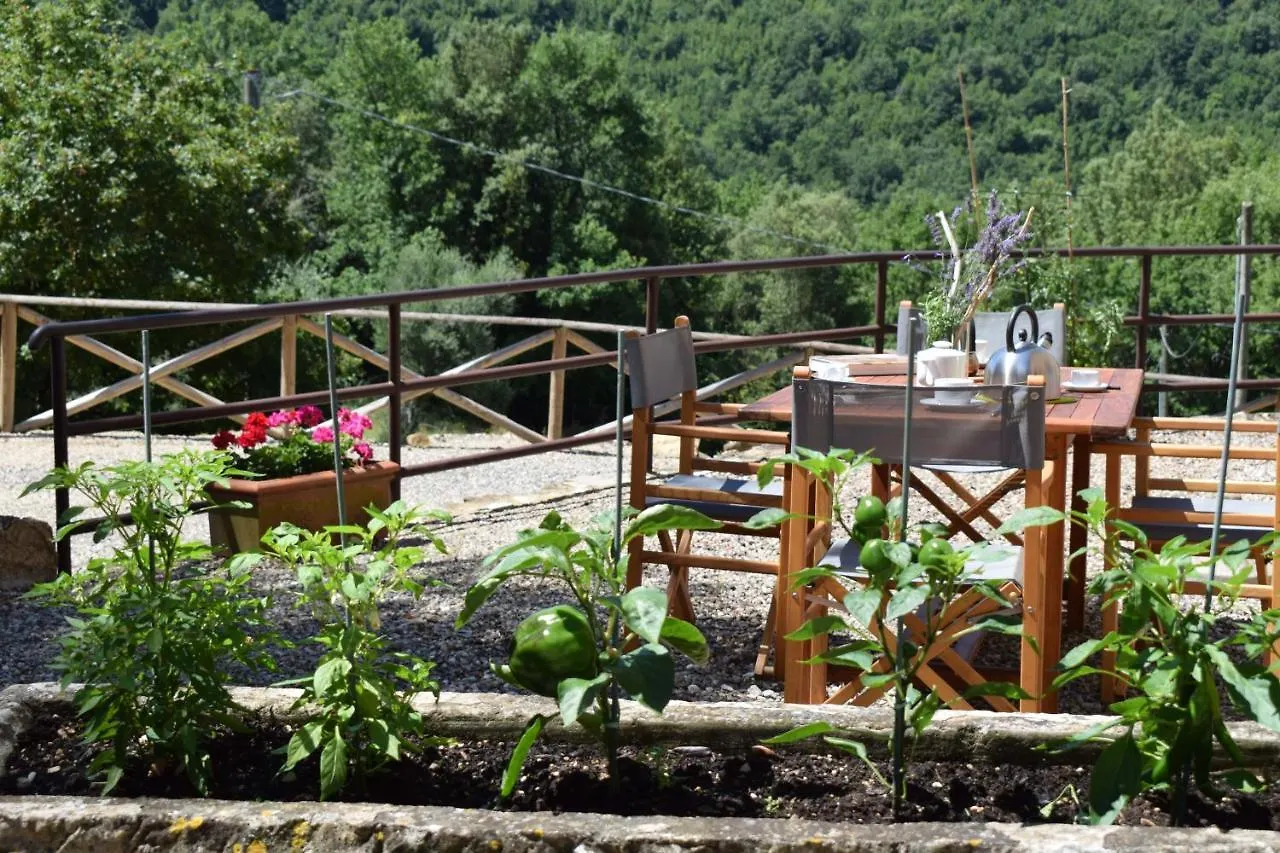 Tenuta Della Selva Murlo
